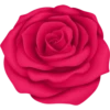 Pink Flowers @ykinanah 19