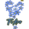 animales y plantas 25