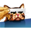 彡Neko carteles彡 20