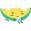 Cute watermelon 22