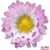 animales y plantas 27