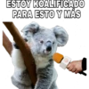 ESTOY KOALIFICADO
PARA ESTO Y MÁS