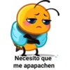 Abejita 11