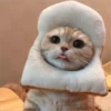 Gatitos que curan la depresión 26