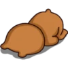 ︎Osito tierno ︎ 21