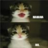 НАНАНА
NO.