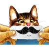 彡Neko carteles彡 22