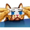 彡Neko carteles彡 23
