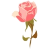 Pink Flowers @ykinanah 25