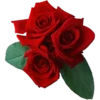 Flores rojas 25