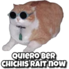 QUIERO BER
CHICHIS RAIT now