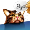 彡Neko carteles彡 25