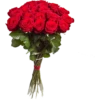 Flores rojas 28