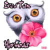 animales y plantas 30