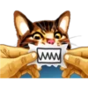 彡Neko carteles彡 26