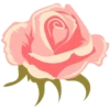 Pink Flowers @ykinanah 27