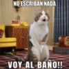 NO ESCRIBAN NADA
VOY AL BAÑO!!
