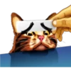 彡Neko carteles彡 27