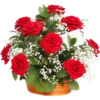 Flores rojas 29