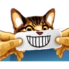 彡Neko carteles彡 28