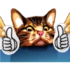 彡Neko carteles彡 30