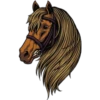 Cavalos 6