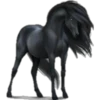 Cavalos 7