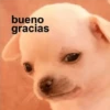bueno
gracias