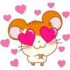 Hamster Taro 5