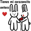Conejito Romántico 1 7