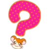 Hamster Taro 7