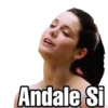 American Pie 15