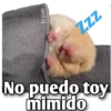 Hamsters  (Y&B) 7