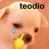 teodio
MEMES DEL PEARITO