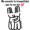 Conejito Romántico 1 9