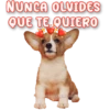 NUNCA OLVIDES
QUE TE QUIERO