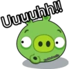 angry brids 9