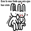 Conejito Romántico 1 11