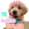 TE
QUIERO
COMER
San