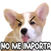 NO ME IMPORTA