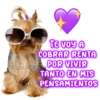 200
TE VOY A
COBRAR RENTA
POR VIVIR
TANTO EN MIS
PENSAMIENTOS