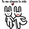 Conejito Romántico 1 14