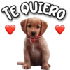 TE QUIERO