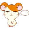 Hamster Taro 10