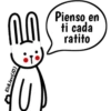 Conejito Romántico 1 15