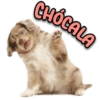 CA