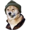 Perritos 15