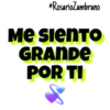 Canciones 12