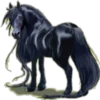 Cavalos 18