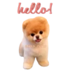 hello!